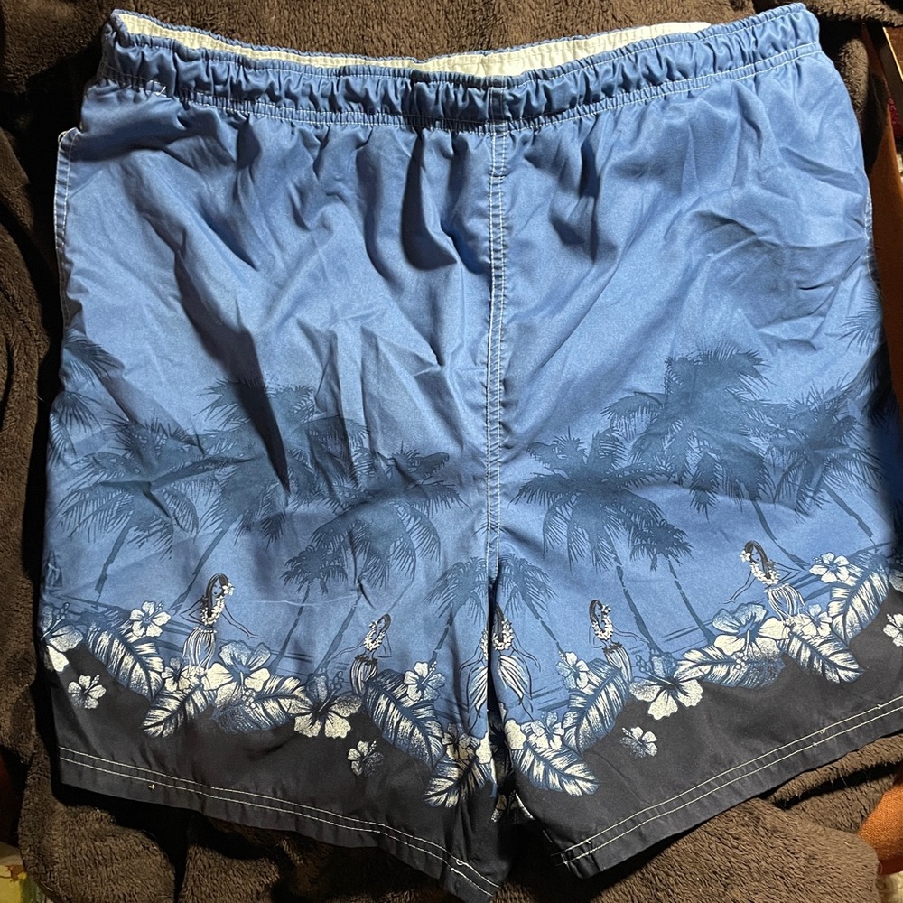 Mens SWIMWEAR swimsuit shorts Hawaiian print XL packable EUC